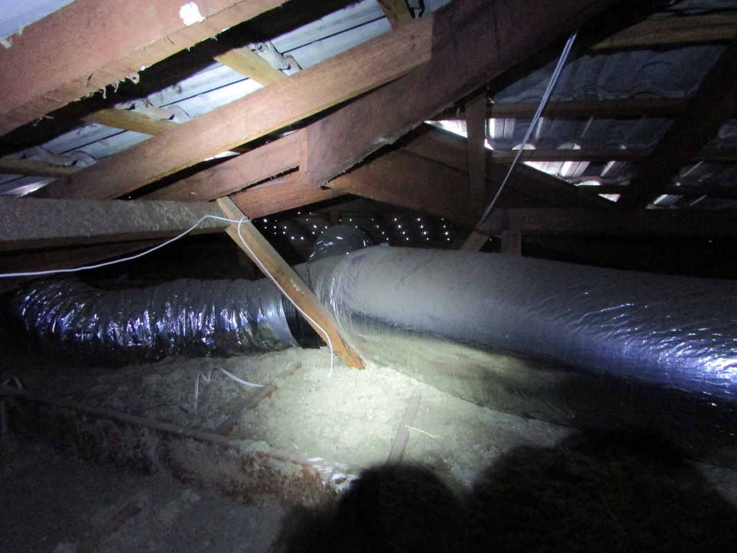 What is Reasonable Access when Conducting Building Inspections? CapItAll Building Inspections