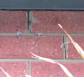 IMG_0100 IMG_0100