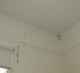 IMG_0152 IMG_0152