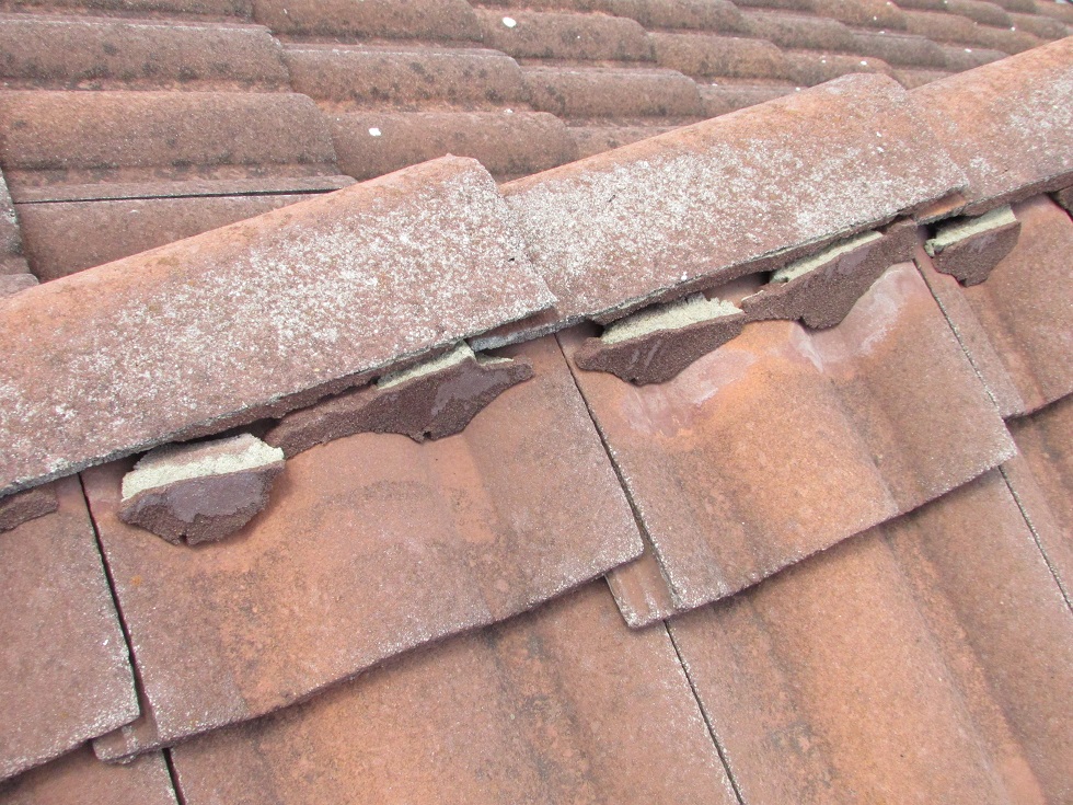 hip-and-ridge-tile-deterioration-cap-it-all-building-inspections